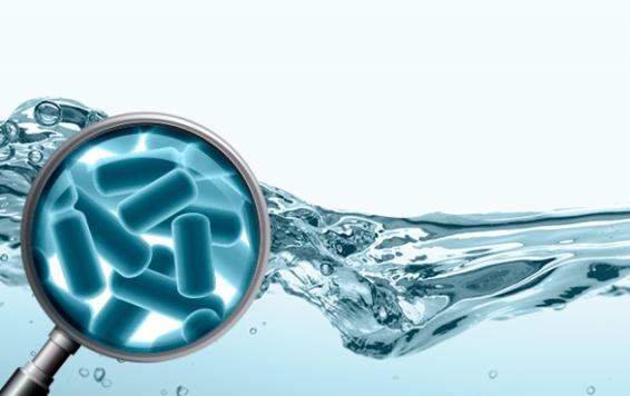 Legionella: una bacteria ignorada